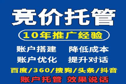 百度竞价广告案例分析：成功之道揭秘